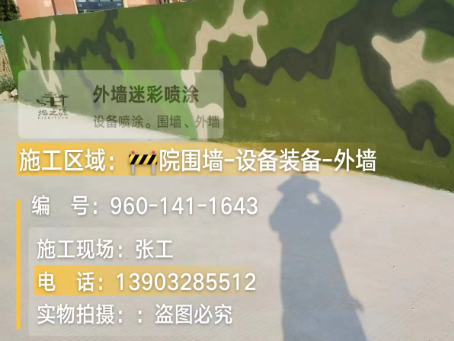 山西 迷彩漆喷涂价格（按平方米计费）