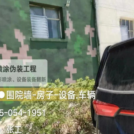 山西数码迷彩漆施工